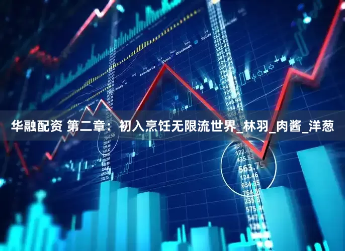 华融配资 第二章：初入烹饪无限流世界_林羽_肉酱_洋葱