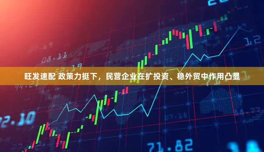 旺发速配 政策力挺下，民营企业在扩投资、稳外贸中作用凸显